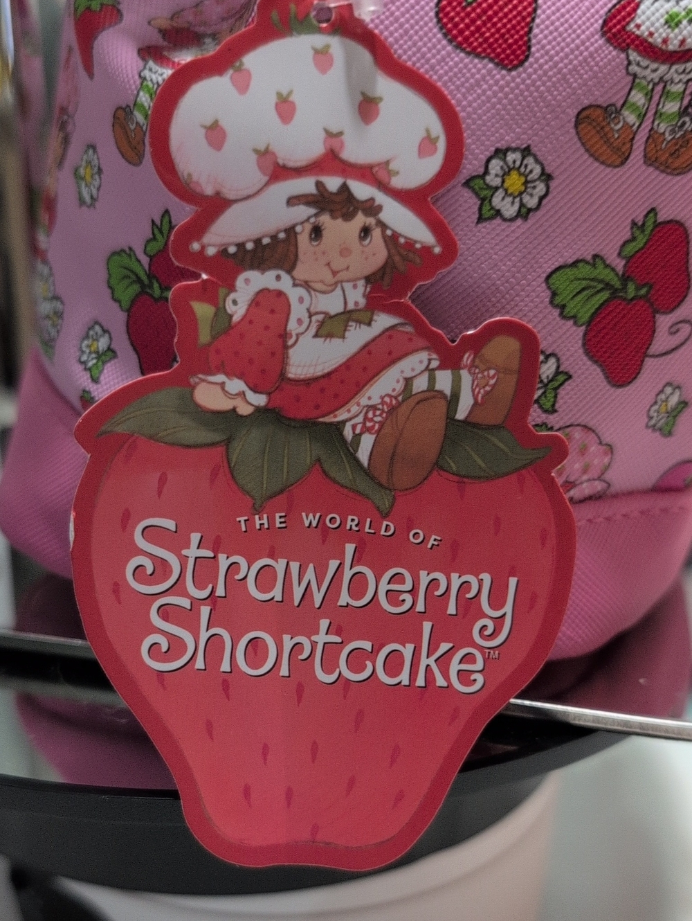 Shannon's Birthday Surprise Strawberry Shortcake Mini Bucket Bag - ๐ Bundle ๐ - Picture 9 of 16